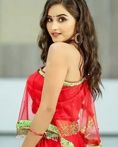 Call Girls Service Bhadrachalam
